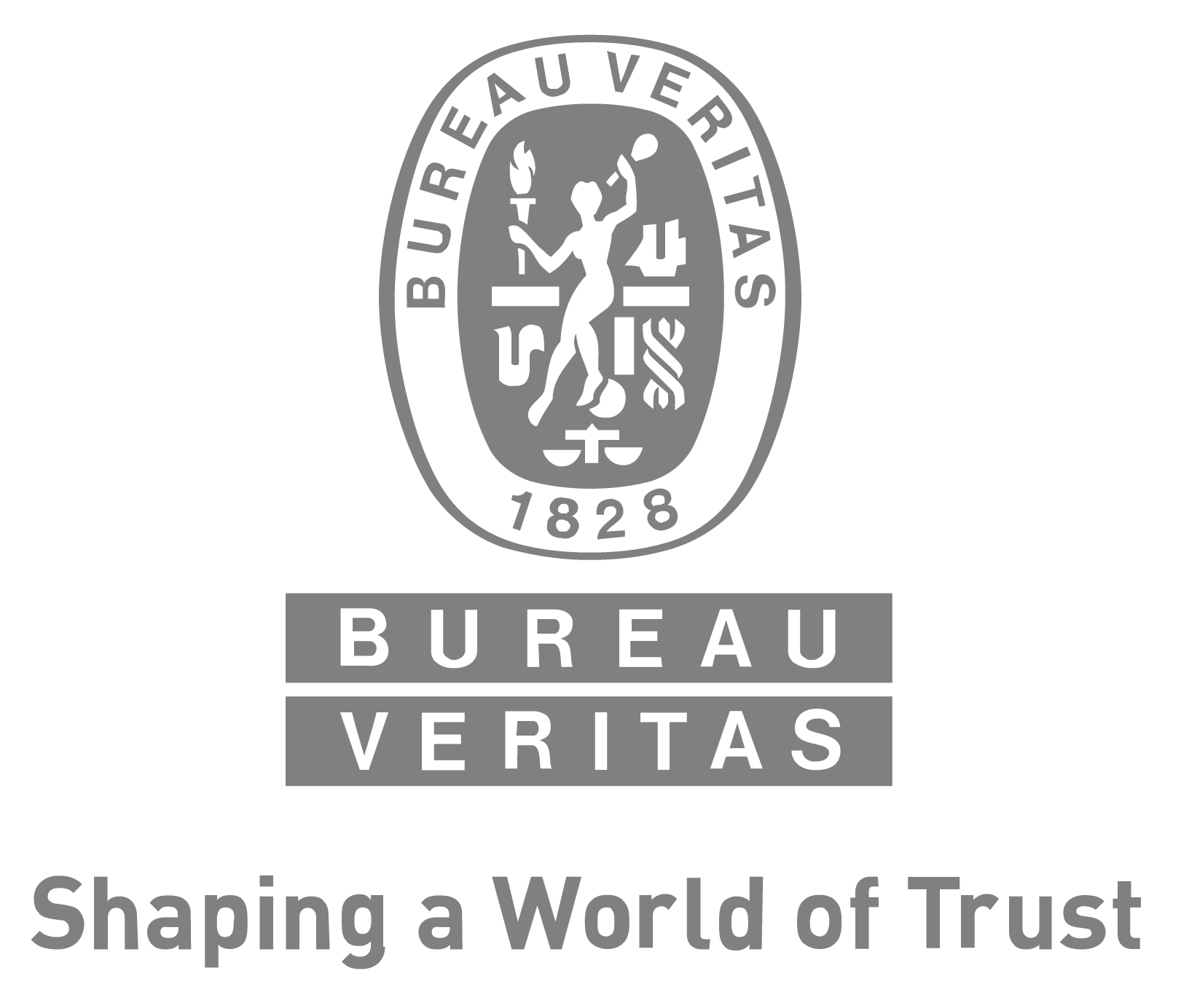 Bureau Veritas Grey